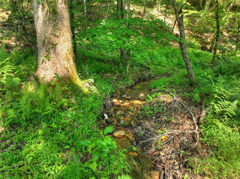 Natural landscape and outdoor views near in Talking Rock (Image 57). Natural landscape and outdoor views near in Talking Rock (Image 57).