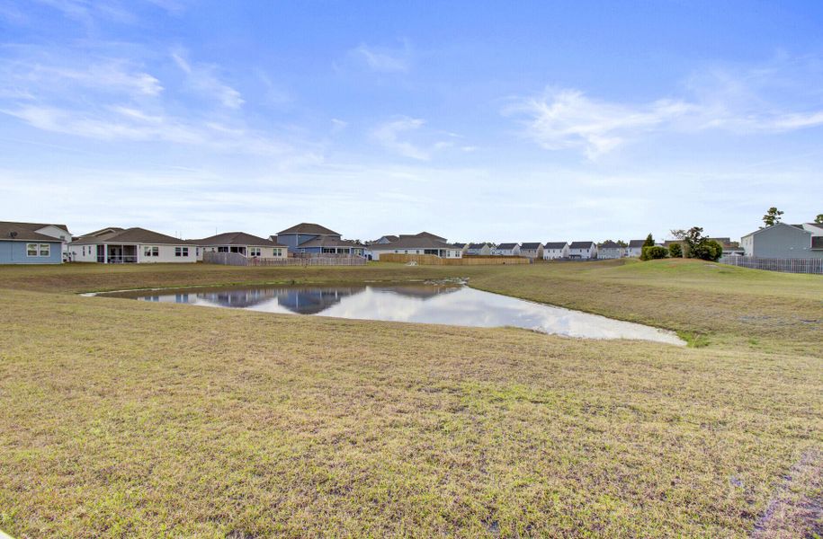 Natural landscape and outdoor views near Sanctuary Cove at Cane Bay in Summerville (Image 61).