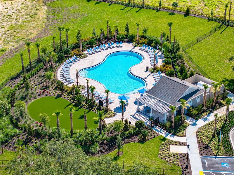 Community amenities in Palm Wind, Hudson (Image 21).