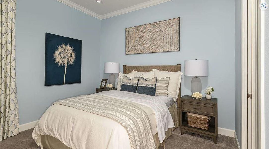 REPRESENTATIVE PHOTOS