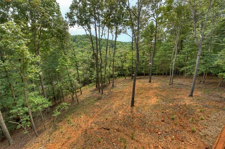 Natural landscape and outdoor views near in Ellijay (Image 44). Natural landscape and outdoor views near in Ellijay (Image 44).