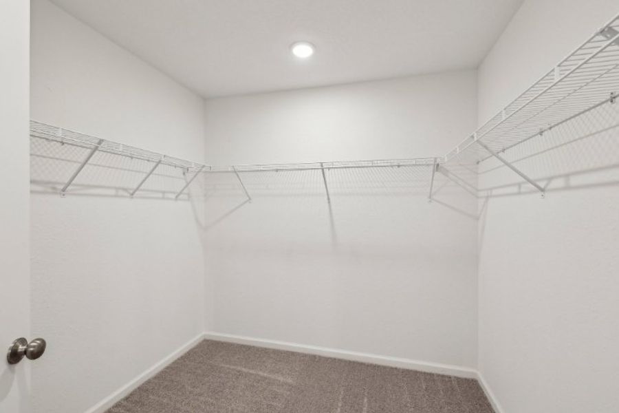 A white room with a carpet.