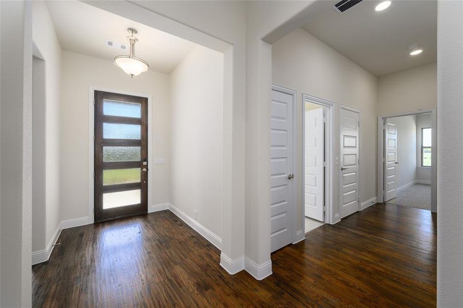 Foyer entrance featuring plenty of natural light and dark hardwood / wood-style floors