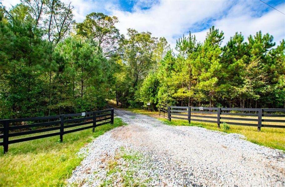 Natural landscape and outdoor views near  in Newnan (Image 71).