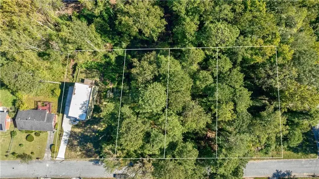 Natural landscape and outdoor views near  in Hapeville (Image 45).