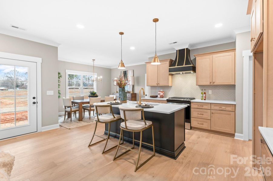 Furnished interior view inside a new home in , Lexington (Image 4).