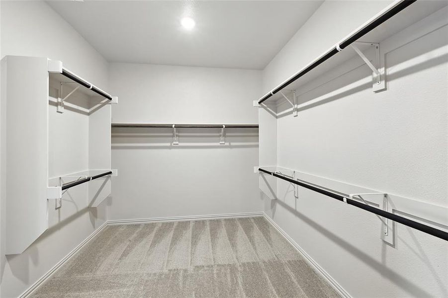 Spacious closet with light carpet Spacious closet with light carpet