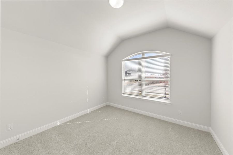 07. 103 Whistling Duck - Bed 3