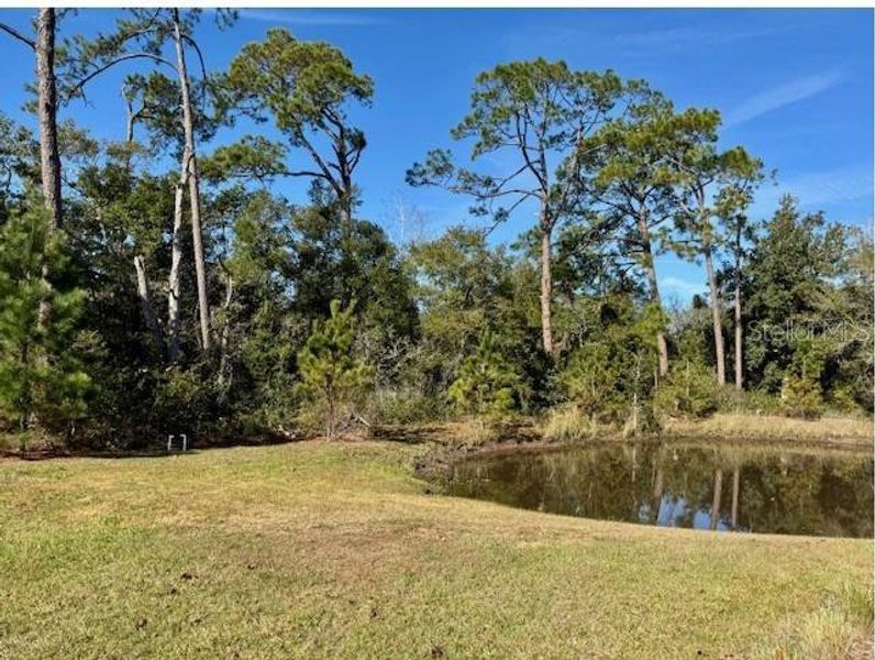 Natural landscape and outdoor views near  in Orlando (Image 10).