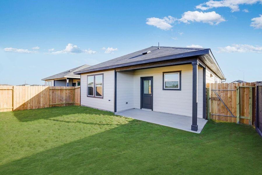 26814 Celestial Cypress ~ Ready Now