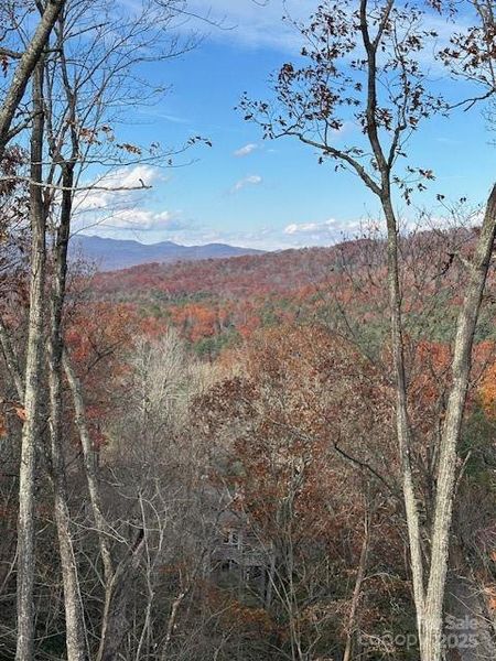 Natural landscape and outdoor views near in Pisgah Forest (Image 25). Natural landscape and outdoor views near in Pisgah Forest (Image 25).