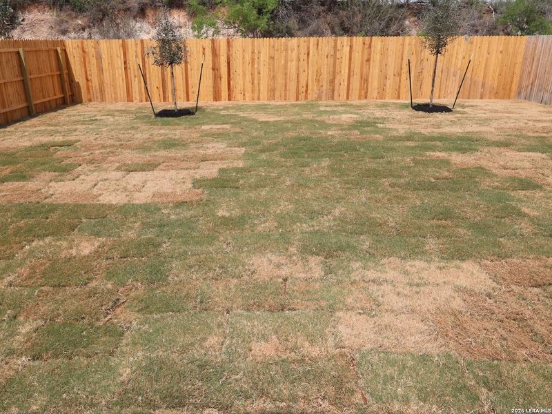 Exterior details and patio area of a home in Agave, San Antonio (Image 3).