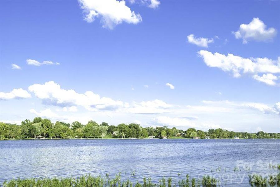 Area Photo - Craving fresh air and scenic views.  This area is a dream for outdoor lovers.  Just minutes from Lake Hickory - enjoy boating, fishing or simple relaxing in the parks.