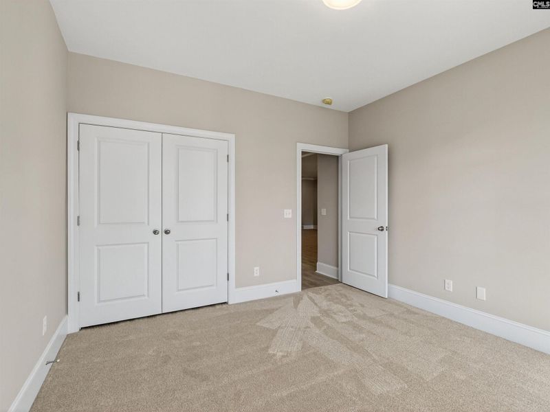 Spacious, unfurnished interior of a new home in Collins Cove, Chapin (Image 30).