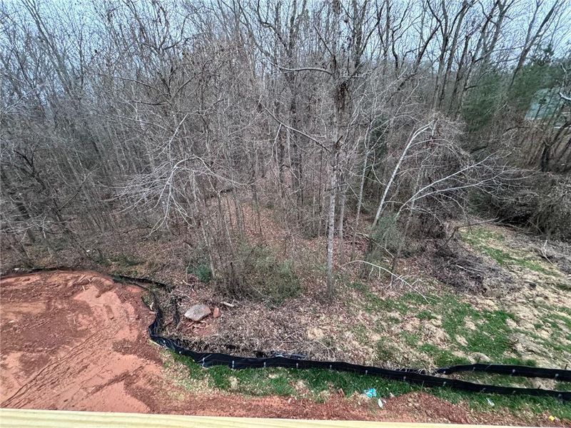 Natural landscape and outdoor views near Magnolia Villas in Cornelia (Image 34).