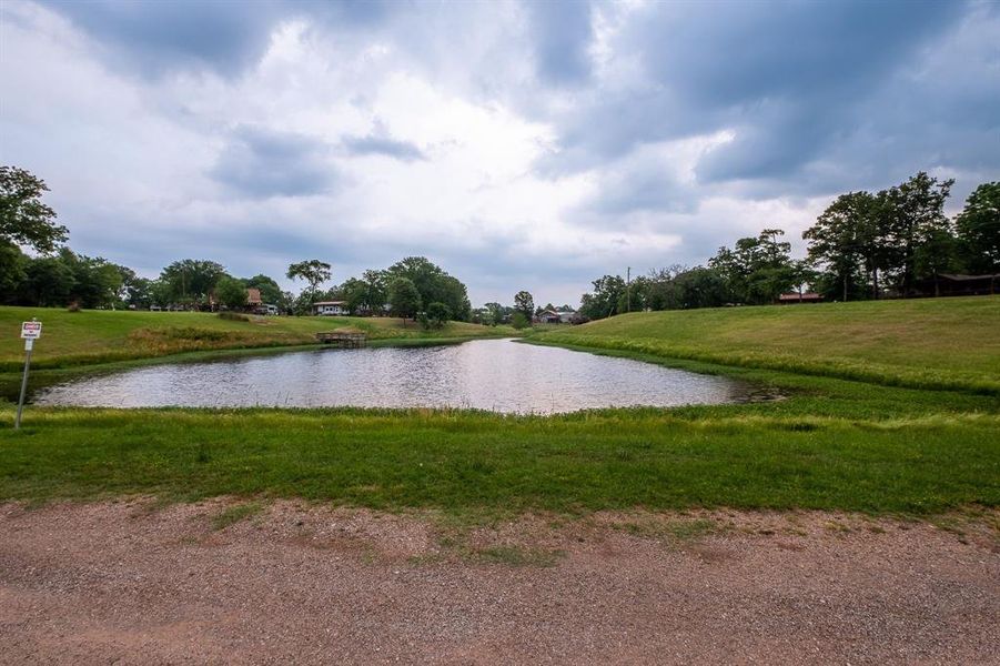 Natural landscape and outdoor views near in Quitman (Image 28). Natural landscape and outdoor views near in Quitman (Image 28).