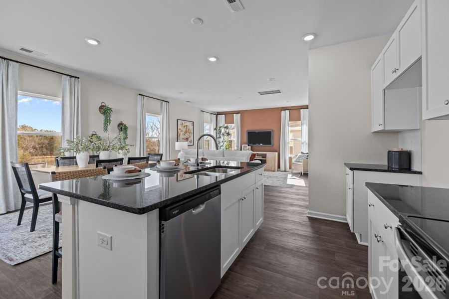 Model Photo for Representational Purposes