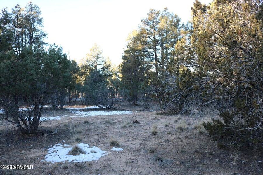 20260131182352108566000000-o