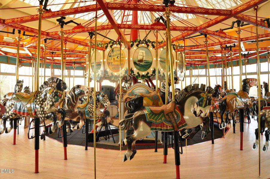 Chavis Park Carousel-(2)