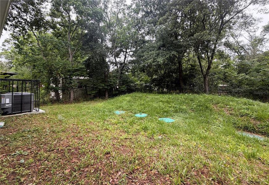 Natural landscape and outdoor views near  in Jacksonville (Image 38).