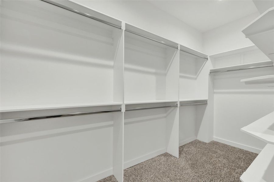 Walk in closet featuring light colored carpet