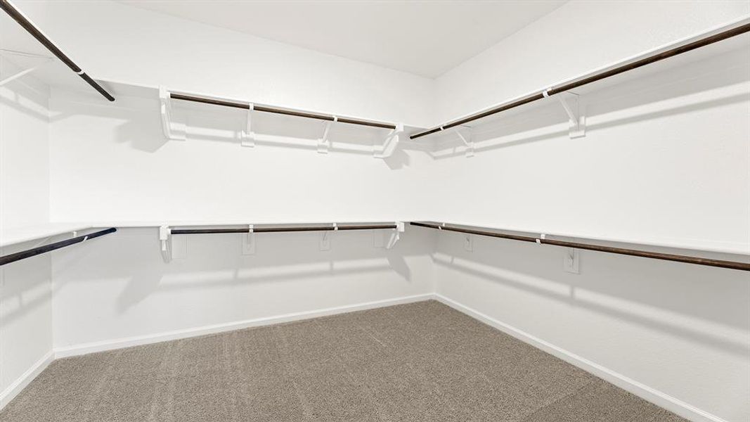 24. 3166 Duck Heights - Closet 24. 3166 Duck Heights - Closet