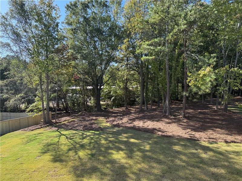 Natural landscape and outdoor views near  in Buford (Image 48).
