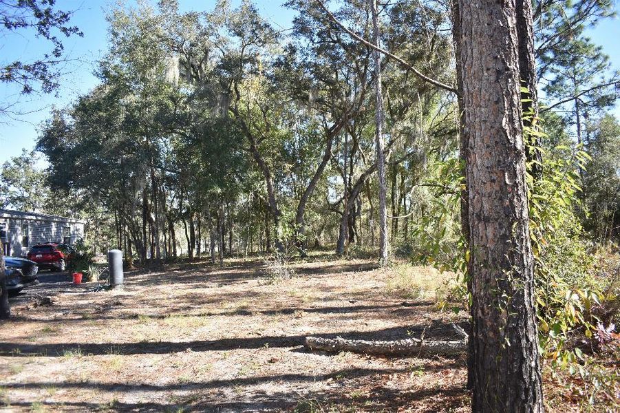 Natural landscape and outdoor views near  in Williston (Image 48).