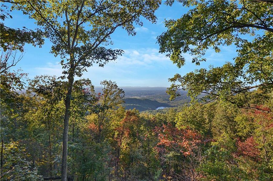 Natural landscape and outdoor views near  in Ranger (Image 60).