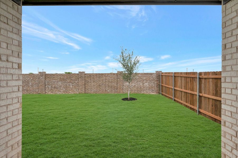 Backyard Backyard