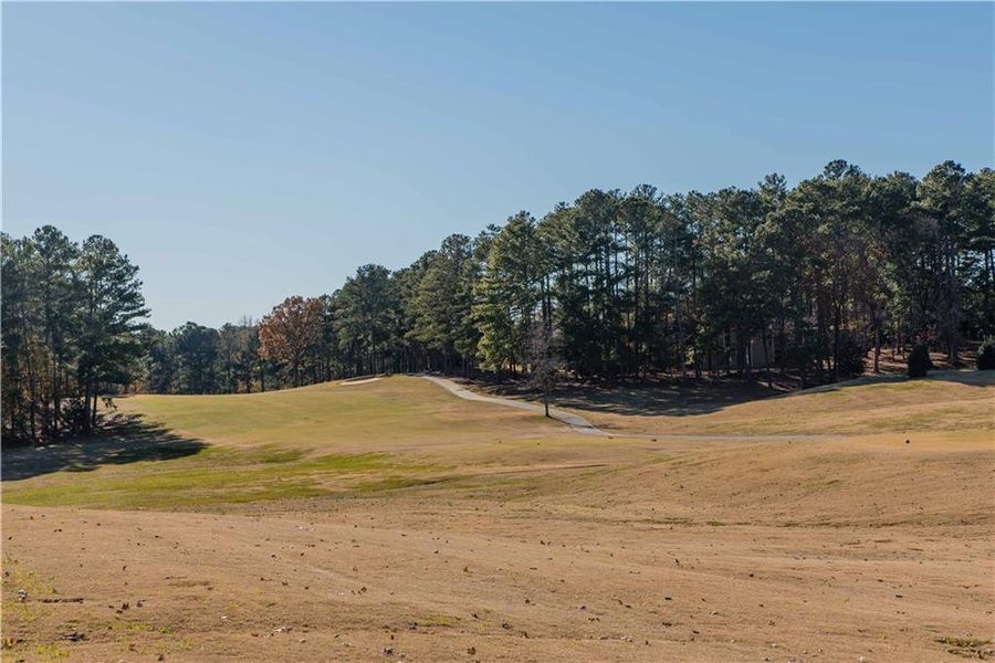 Natural landscape and outdoor views near  in Villa Rica (Image 6).
