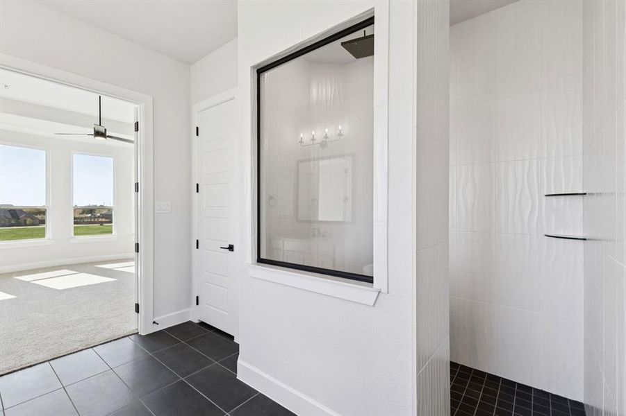 28-121Swan_028 28-121Swan_028