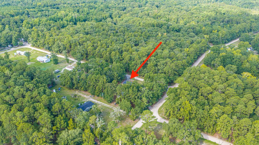 Natural landscape and outdoor views near  in Walterboro (Image 66).