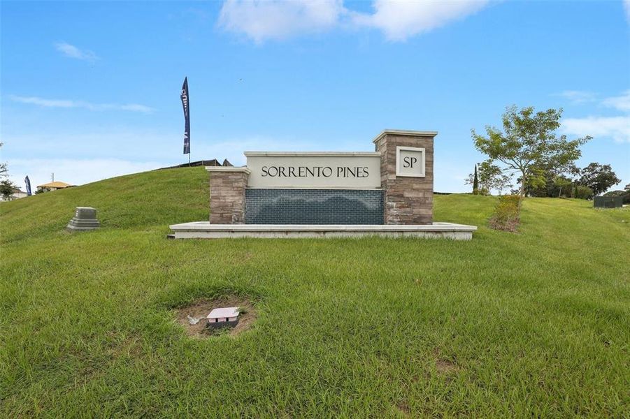Front exterior of a new home in Sorrento Pines, Sorrento, FL, highlighting curb appeal (Image 20). Front exterior of a new home in Sorrento Pines, Sorrento, FL, highlighting curb appeal (Image 20).