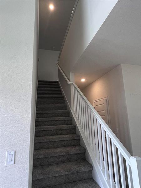 Spacious, unfurnished interior of a new home in Harmony Central, Harmony (Image 7). Spacious, unfurnished interior of a new home in Harmony Central, Harmony (Image 7).