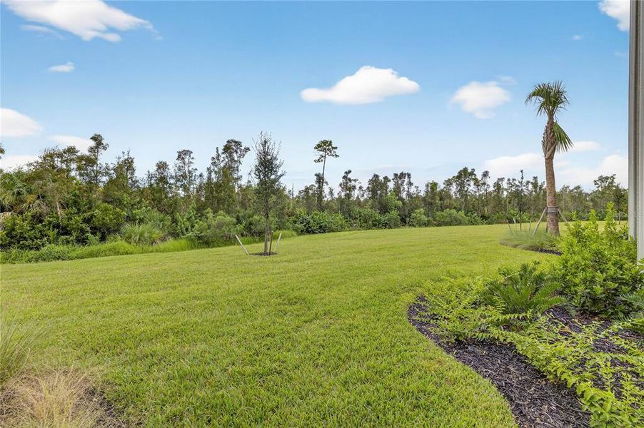 Natural landscape and outdoor views near  in Punta Gorda (Image 23).