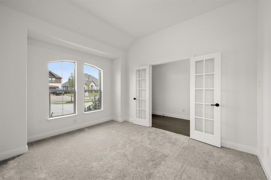 7725 Sweet Sorghum- Study