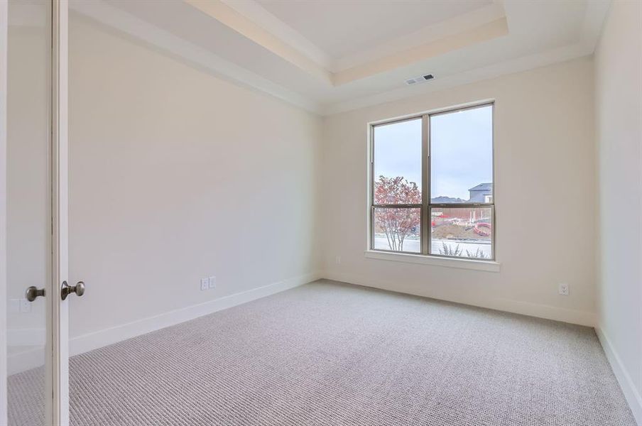 Empty room with a raised ceiling, crown molding, and carpet floors