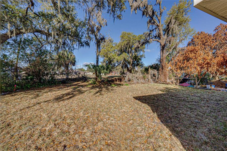 Natural landscape and outdoor views near  in Bartow (Image 38).