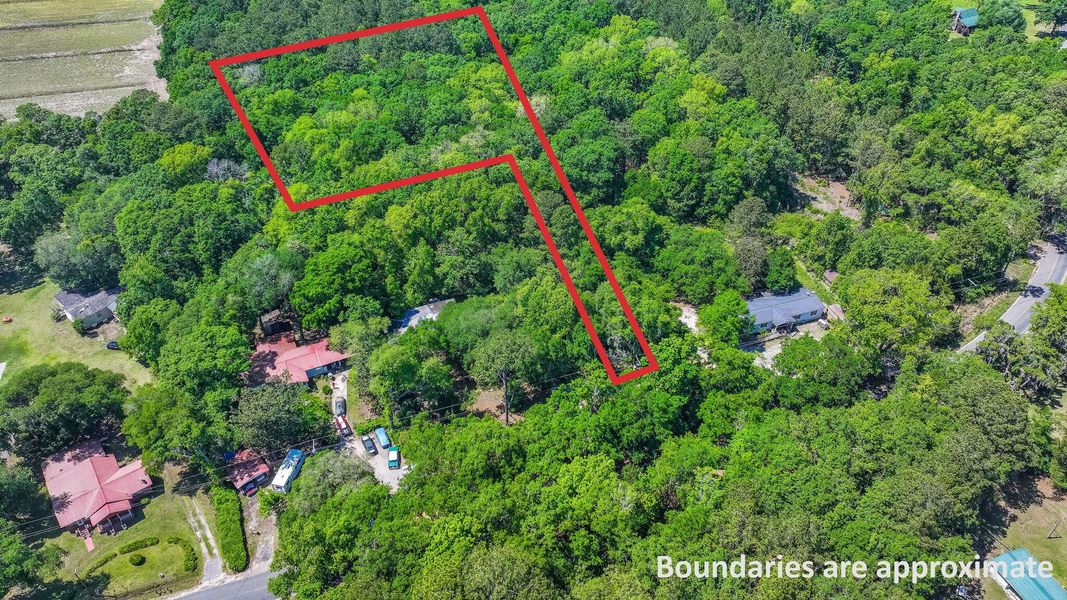 Site preparation for new homesites in , Edisto Island (Image 13).