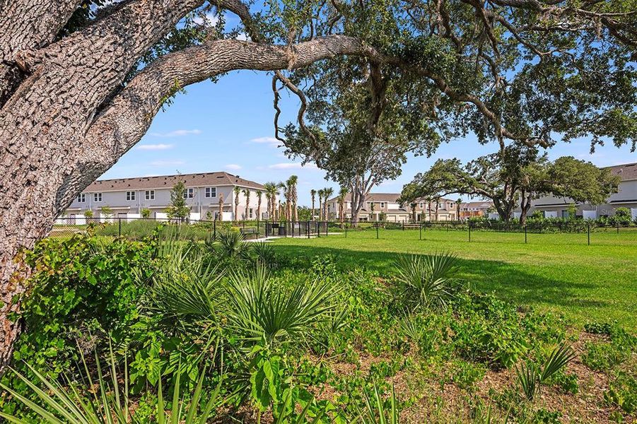 Natural landscape and outdoor views near Vinterra Townhomes in Nokomis (Image 49).