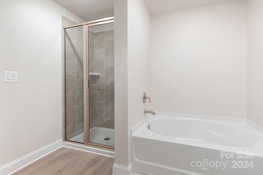 Separate Tub & Shower