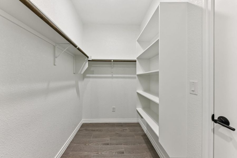 Walk in closet featuring dark wood-style floors Walk in closet featuring dark wood-style floors
