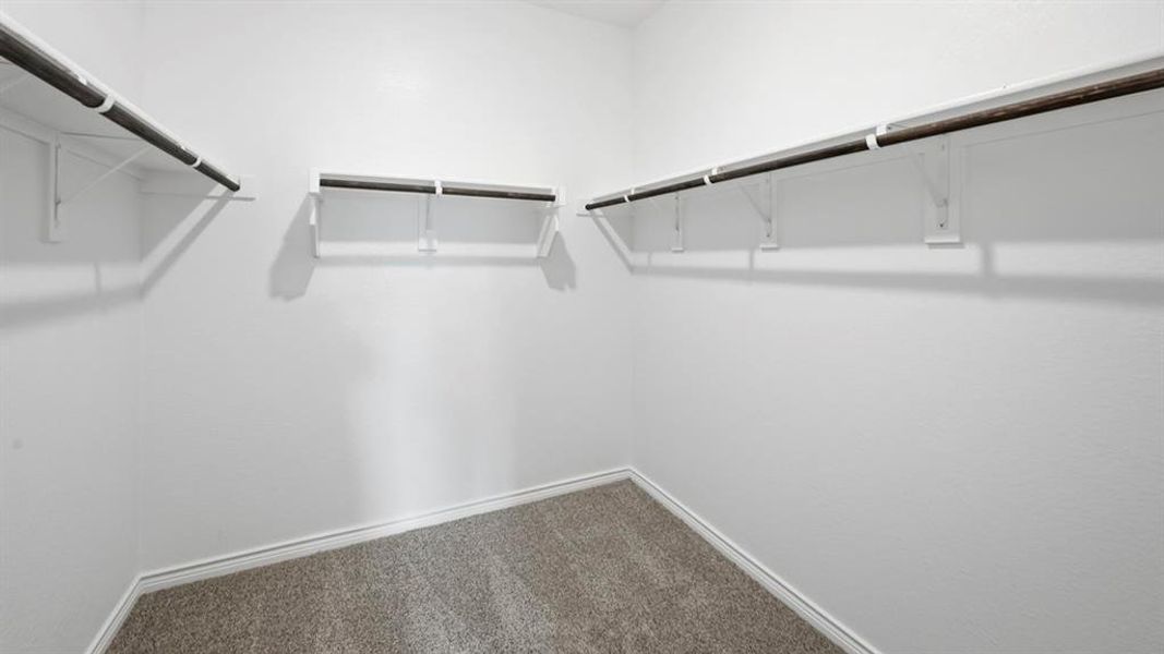 Walk in closet featuring carpet