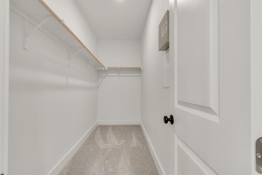 Walk-in closet with ample storage, featuring built-in shelving and soft carpeting.
