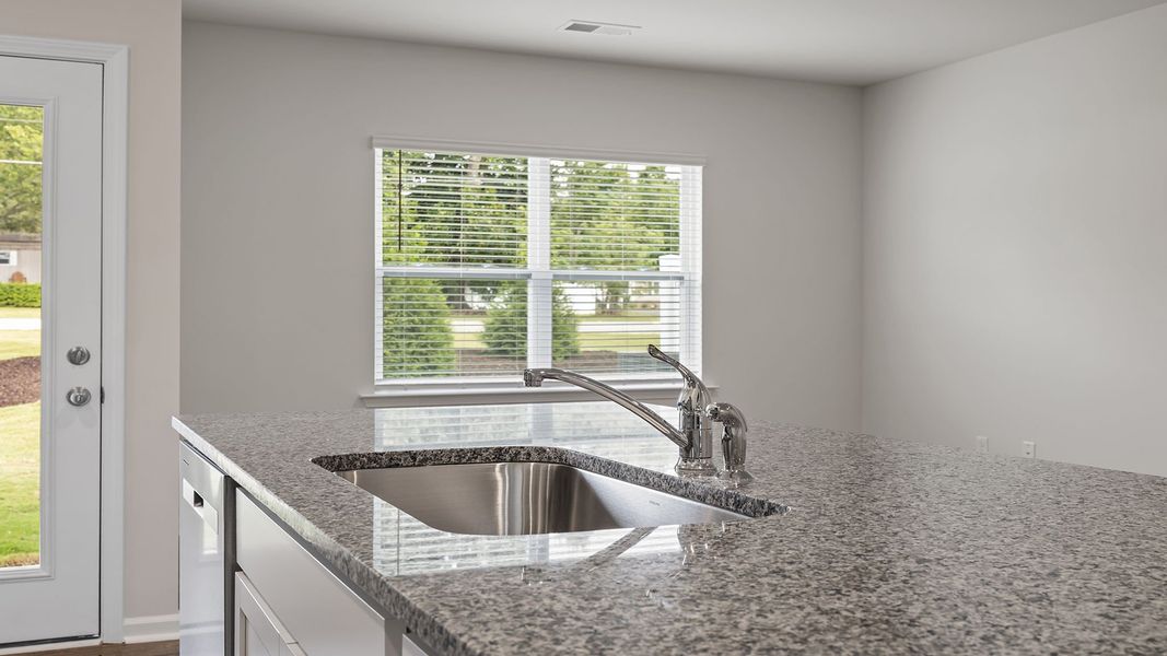 Close-up of interior finishes inside a home in Tanglewood Townes, Greenville (Image 15).