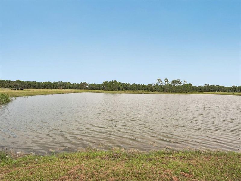 Natural landscape and outdoor views near Magnolia Bay - Classic Series in Nokomis (Image 35). Natural landscape and outdoor views near Magnolia Bay - Classic Series in Nokomis (Image 35).