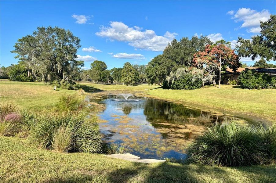 Natural landscape and outdoor views near in Tarpon Springs (Image 25). Natural landscape and outdoor views near in Tarpon Springs (Image 25).