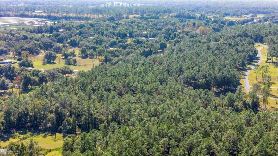 Natural landscape and outdoor views near in Eustis (Image 9). Natural landscape and outdoor views near in Eustis (Image 9).