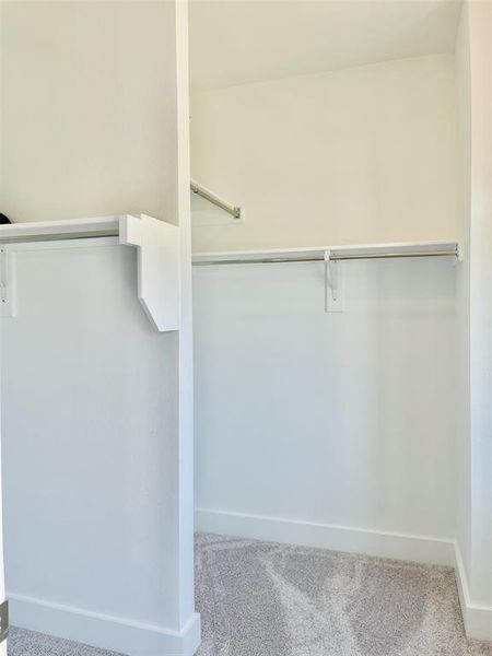 Walk in closet with carpet flooring Walk in closet with carpet flooring